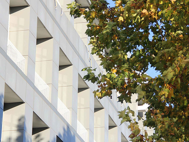 凝心聚力啟新程 精準施策促提升，基礎教育部期初教學工作階段性總結